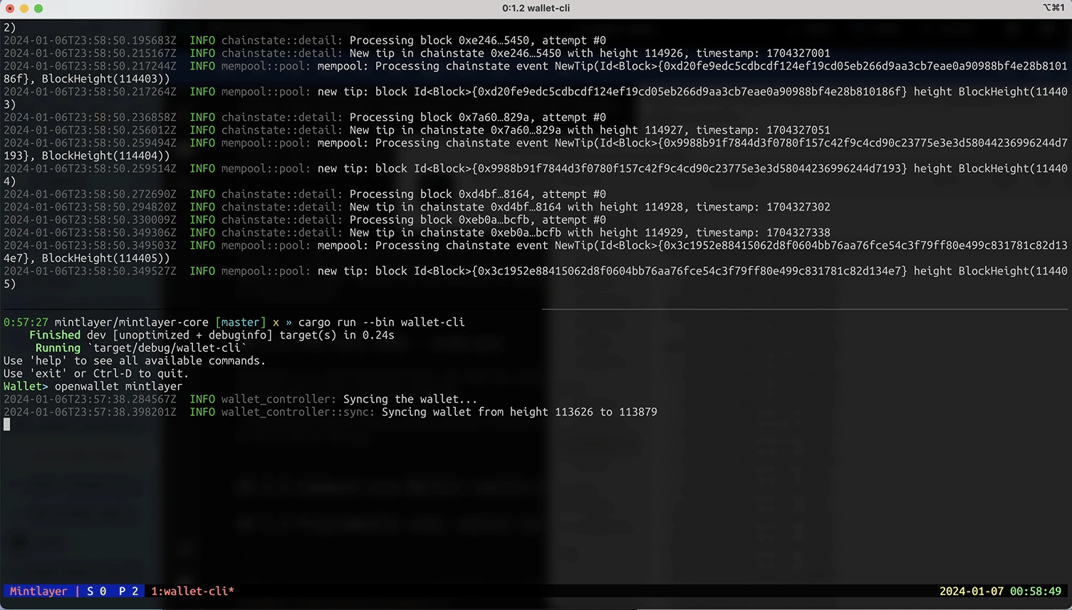 wallet-cli-screenshot.png